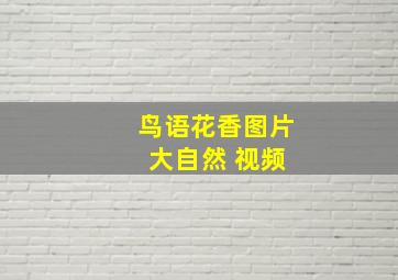 鸟语花香图片 大自然 视频